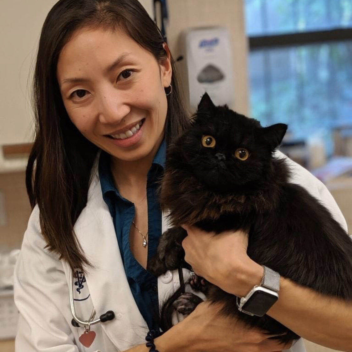 Female Vet With Black Cat Female Vet With Black Cat